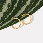 Gold Hammered Hoops resting over a green leaf