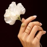 Marketing Image