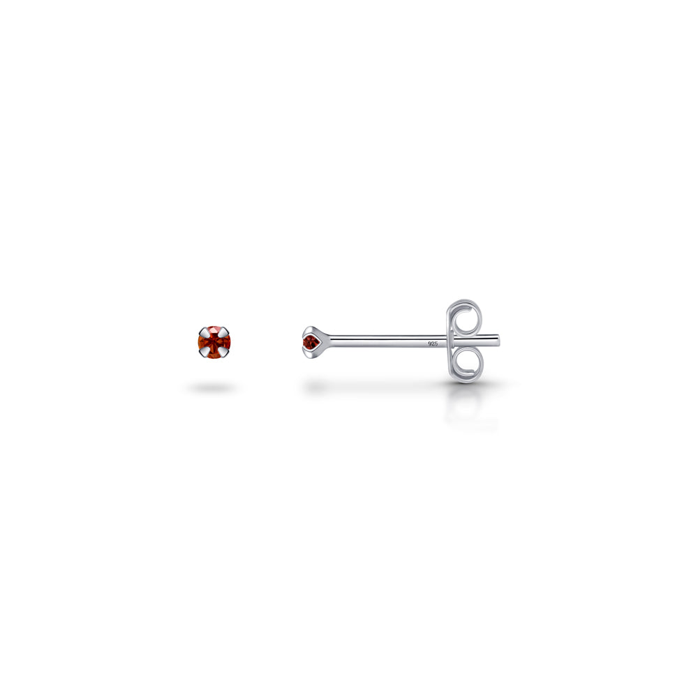 Silver Stud Earrings with January Birthstone