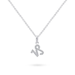 Product image of sterling silver necklace with capricorn zodiac pendant with stones against white background.