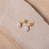 8 mm Pearl Stud Earrings in Gold